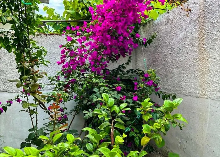 Apartament Garden One Bedroom