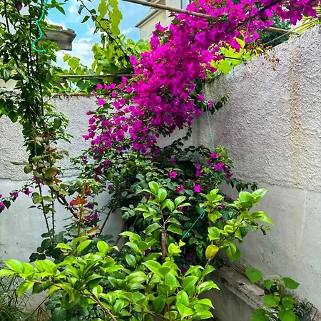 Appartamento Garden One Bedroom