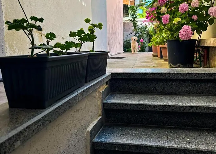 Garden One Bedroom 티라나